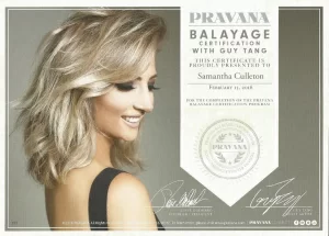 13 Balayage- Pravana Guy Tang